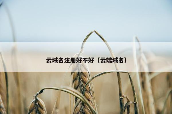 云域名注册好不好（云端域名）