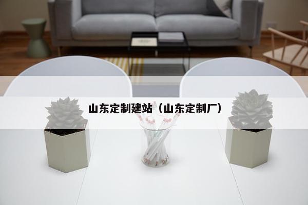 山东定制建站（山东定制厂）