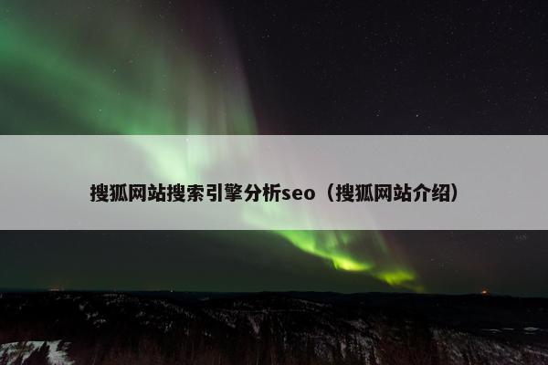 搜狐网站搜索引擎分析seo（搜狐网站介绍）