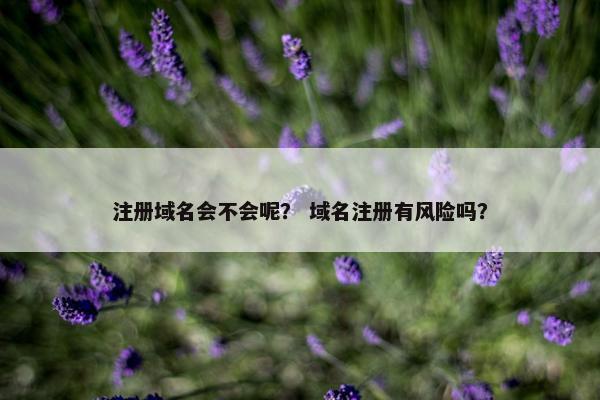 注册域名会不会呢？ 域名注册有风险吗？