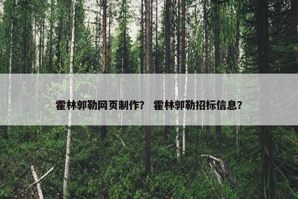 霍林郭勒网页制作？ 霍林郭勒招标信息？