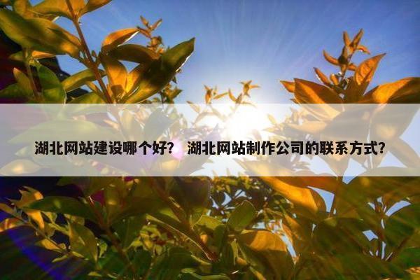 湖北网站建设哪个好？ 湖北网站制作公司的联系方式？