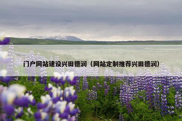 门户网站建设兴田德润（网站定制推荐兴田德润）