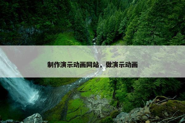 制作演示动画网站，做演示动画