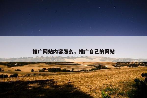 推广网站内容怎么，推广自己的网站