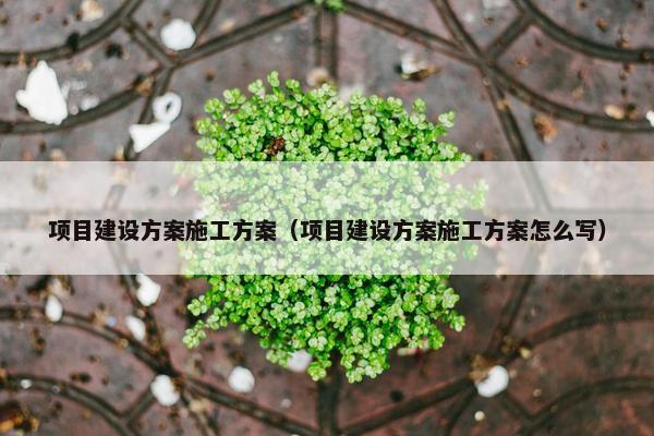 项目建设方案施工方案（项目建设方案施工方案怎么写）