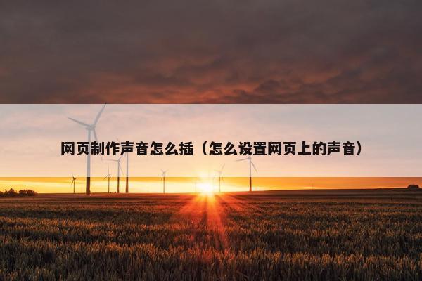 网页制作声音怎么插（怎么设置网页上的声音）