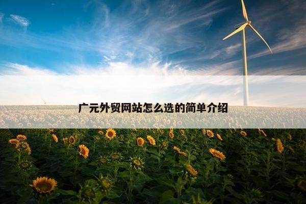 广元外贸网站怎么选的简单介绍