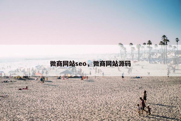 微商网站seo，微商网站源码
