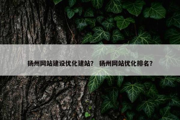 扬州网站建设优化建站？ 扬州网站优化排名？