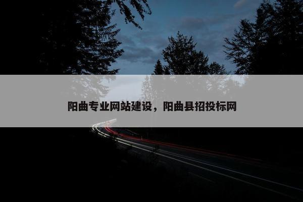 阳曲专业网站建设，阳曲县招投标网