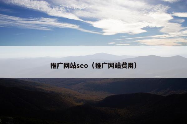 推广网站seo（推广网站费用）