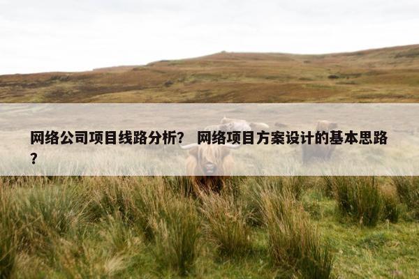 网络公司项目线路分析？ 网络项目方案设计的基本思路？