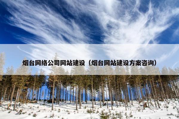 烟台网络公司网站建设（烟台网站建设方案咨询）