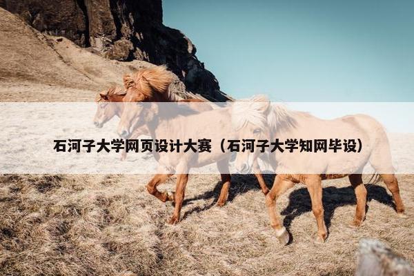 石河子大学网页设计大赛（石河子大学知网毕设）