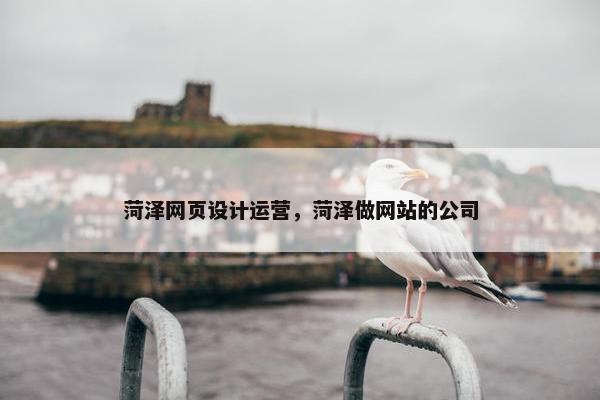 菏泽网页设计运营，菏泽做网站的公司
