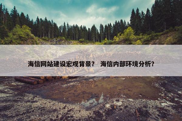 海信网站建设宏观背景？ 海信内部环境分析？