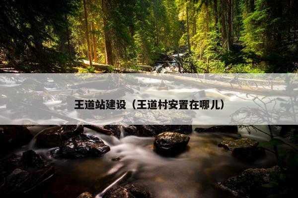 王道站建设（王道村安置在哪儿）