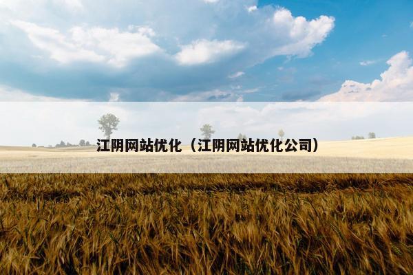 江阴网站优化（江阴网站优化公司）