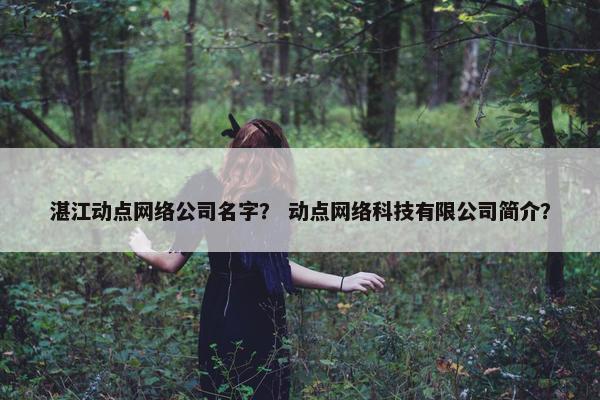 湛江动点网络公司名字？ 动点网络科技有限公司简介？