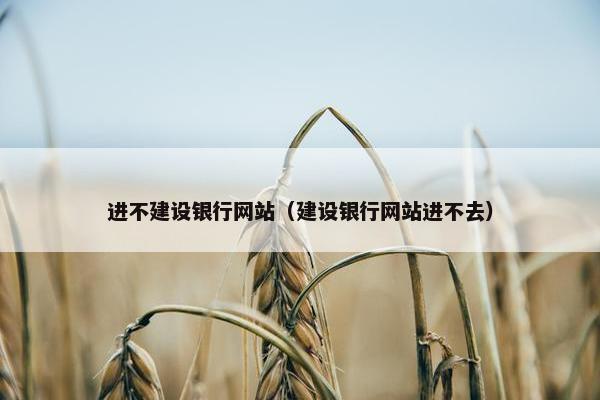 进不建设银行网站（建设银行网站进不去）