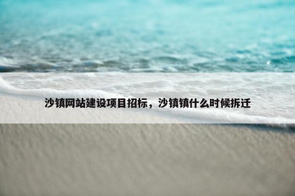 沙镇网站建设项目招标，沙镇镇什么时候拆迁