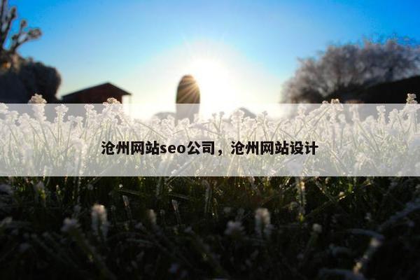 沧州网站seo公司，沧州网站设计