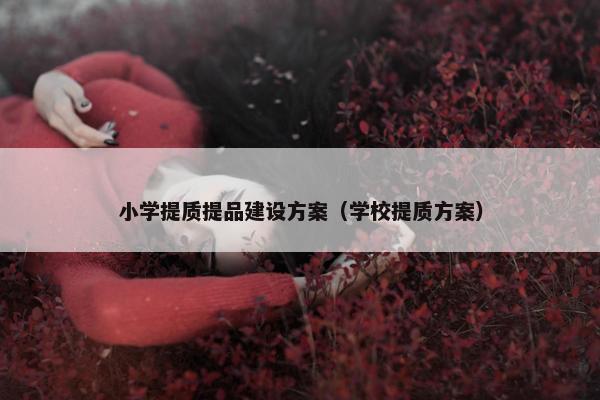 小学提质提品建设方案（学校提质方案）