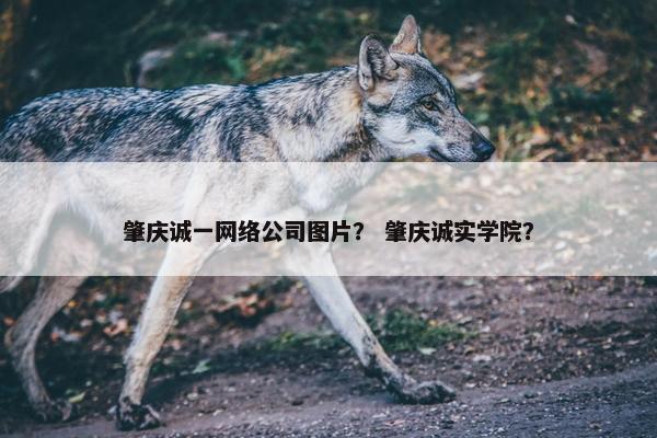 肇庆诚一网络公司图片？ 肇庆诚实学院？