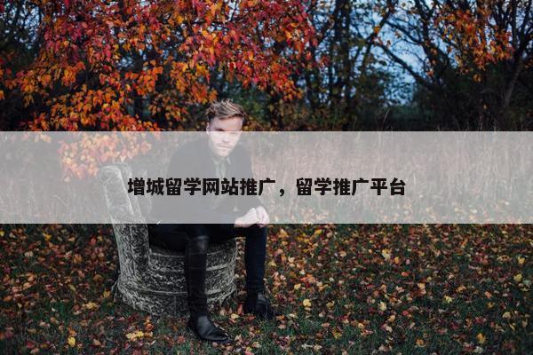 增城留学网站推广，留学推广平台