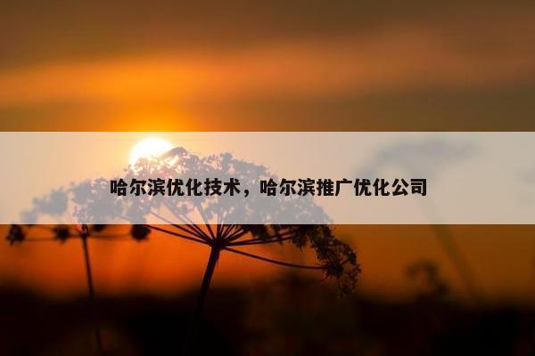 哈尔滨优化技术，哈尔滨推广优化公司