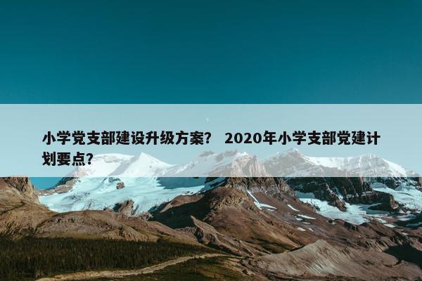 小学党支部建设升级方案？ 2020年小学支部党建计划要点？
