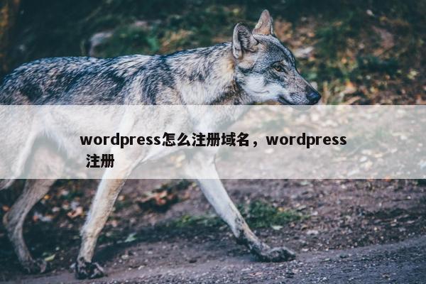 wordpress怎么注册域名，wordpress 注册