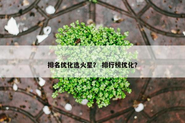 排名优化选火星？ 排行榜优化？