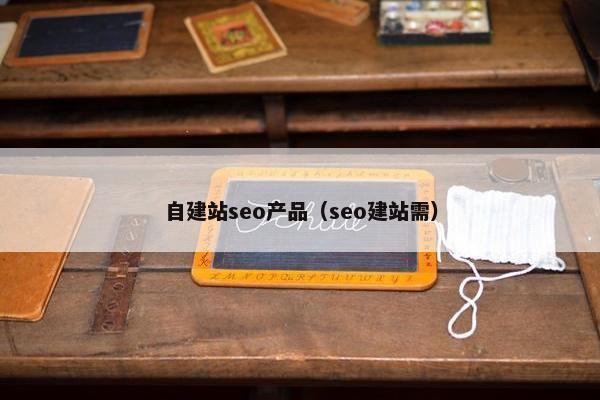 自建站seo产品（seo建站需）