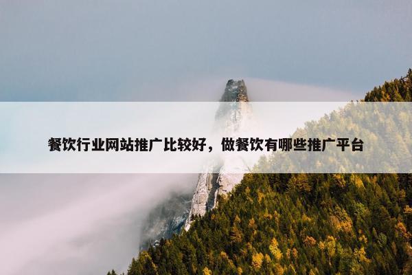 餐饮行业网站推广比较好，做餐饮有哪些推广平台