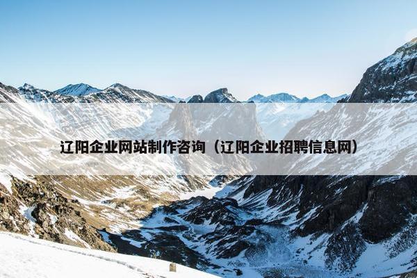 辽阳企业网站制作咨询（辽阳企业招聘信息网）