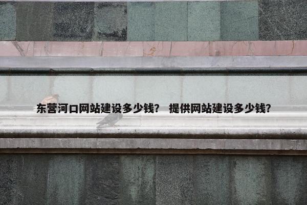东营河口网站建设多少钱？ 提供网站建设多少钱？