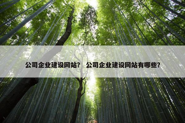 公司企业建设网站？ 公司企业建设网站有哪些？