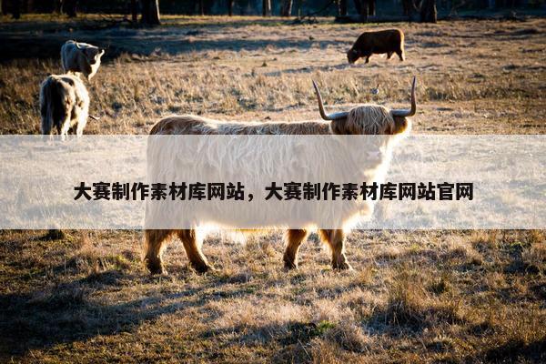 大赛制作素材库网站，大赛制作素材库网站官网