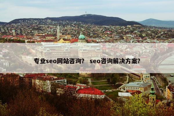 专业seo网站咨询？ seo咨询解决方案？