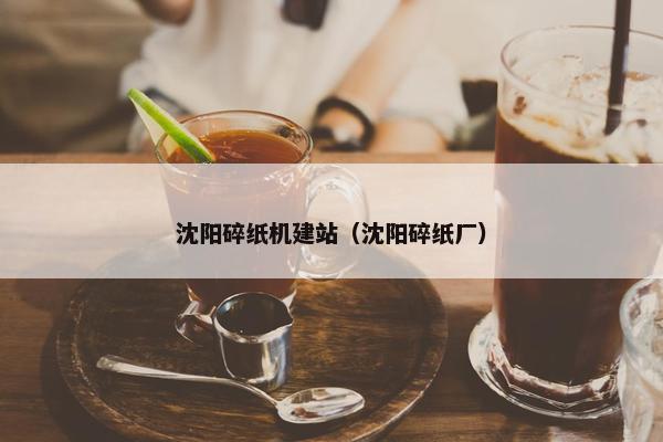 沈阳碎纸机建站（沈阳碎纸厂）