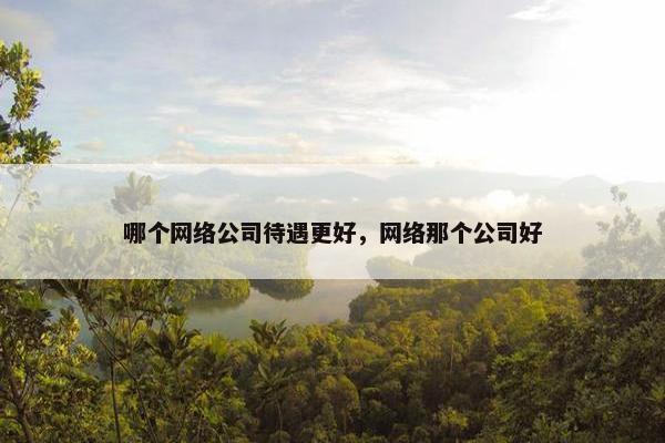 哪个网络公司待遇更好，网络那个公司好