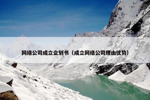 网络公司成立企划书（成立网络公司理由优势）