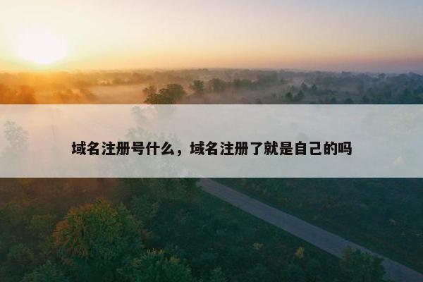 域名注册号什么，域名注册了就是自己的吗