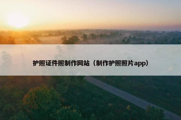 护照证件照制作网站（制作护照照片app）