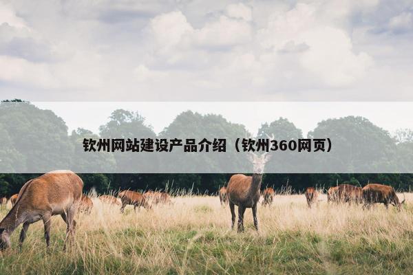 钦州网站建设产品介绍（钦州360网页）