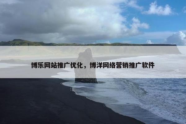 博乐网站推广优化，博洋网络营销推广软件