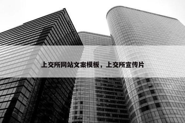 上交所网站文案模板，上交所宣传片