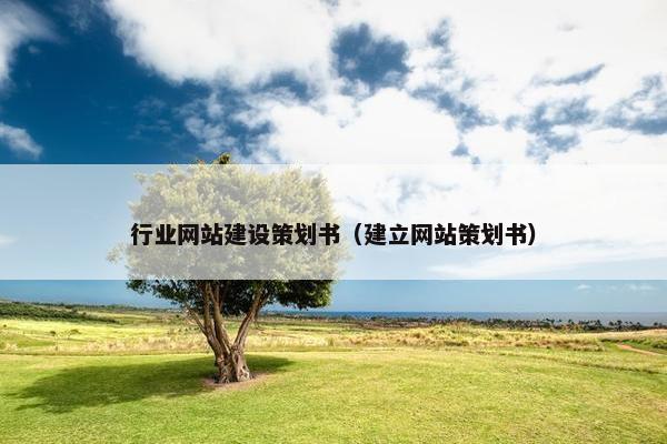 行业网站建设策划书（建立网站策划书）
